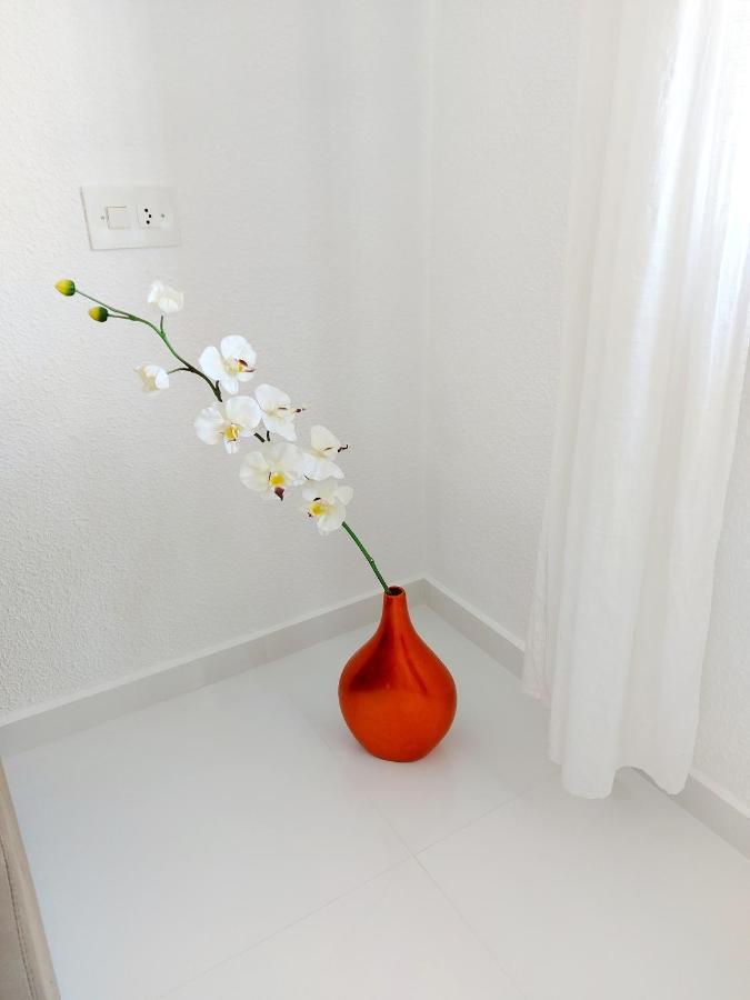 Albir Resort El Albir Zewnętrze zdjęcie