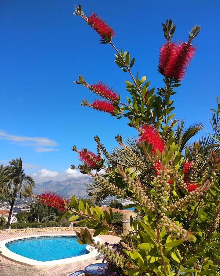 Albir Resort El Albir Zewnętrze zdjęcie