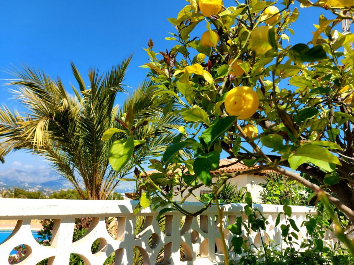 Albir Resort El Albir Zewnętrze zdjęcie